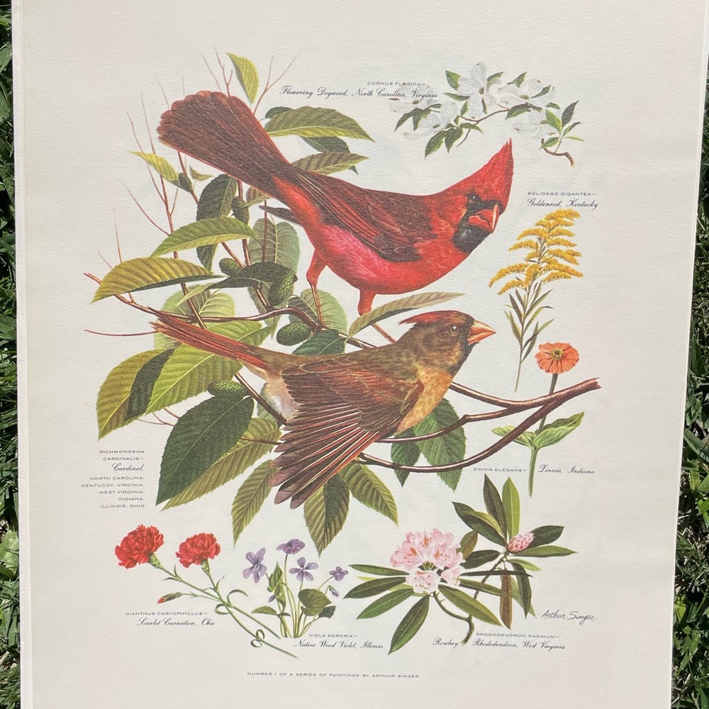 PAINTED BY ARTHUR SINGER BIRD PRINTS LOT OF 8 !!! FULL SET BRAND NEW 1960s